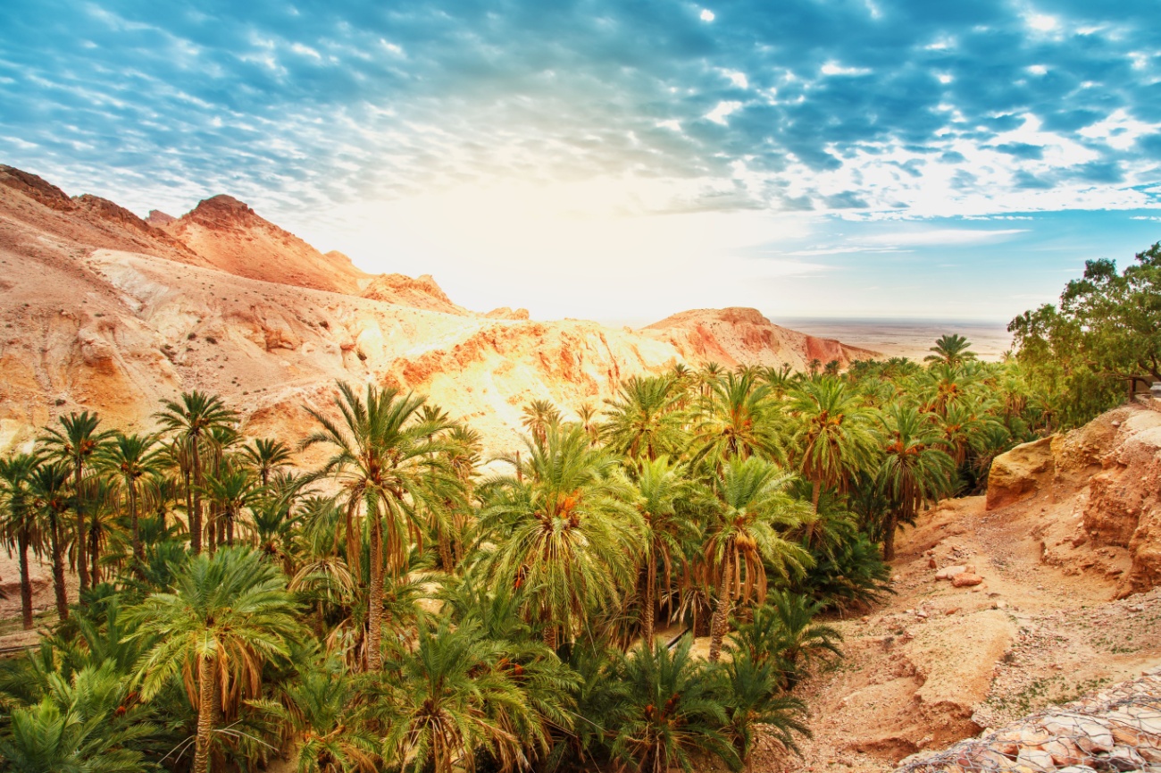Leia mais sobre o artigo GRAND TOUR TUNISIA PREMIUM 08 NIGHTS & 10 DAYS