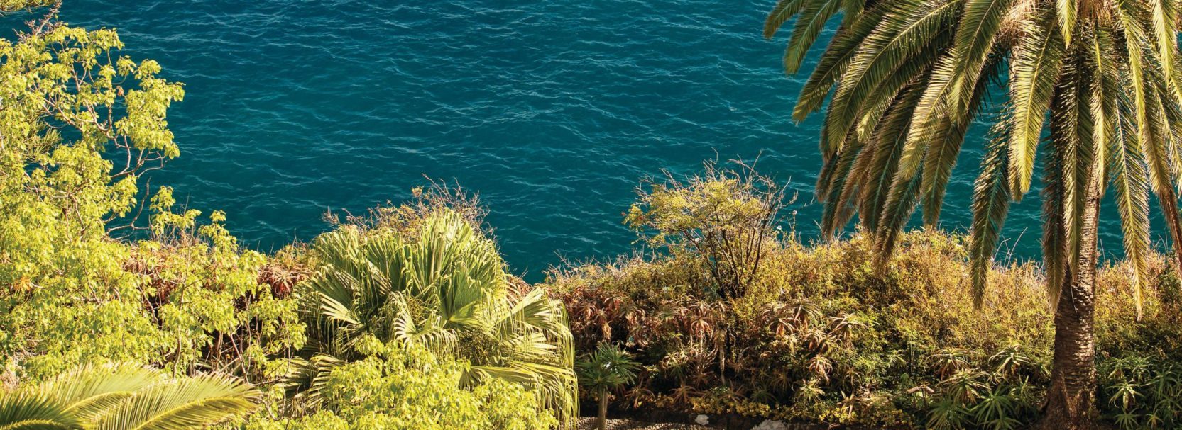 BELMOND REID'S PALACE 3