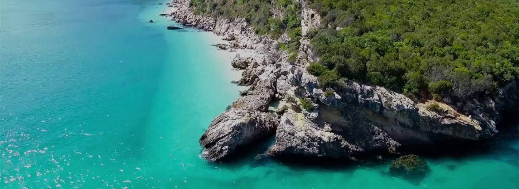 FLAVORS OF PORTUGAL 1