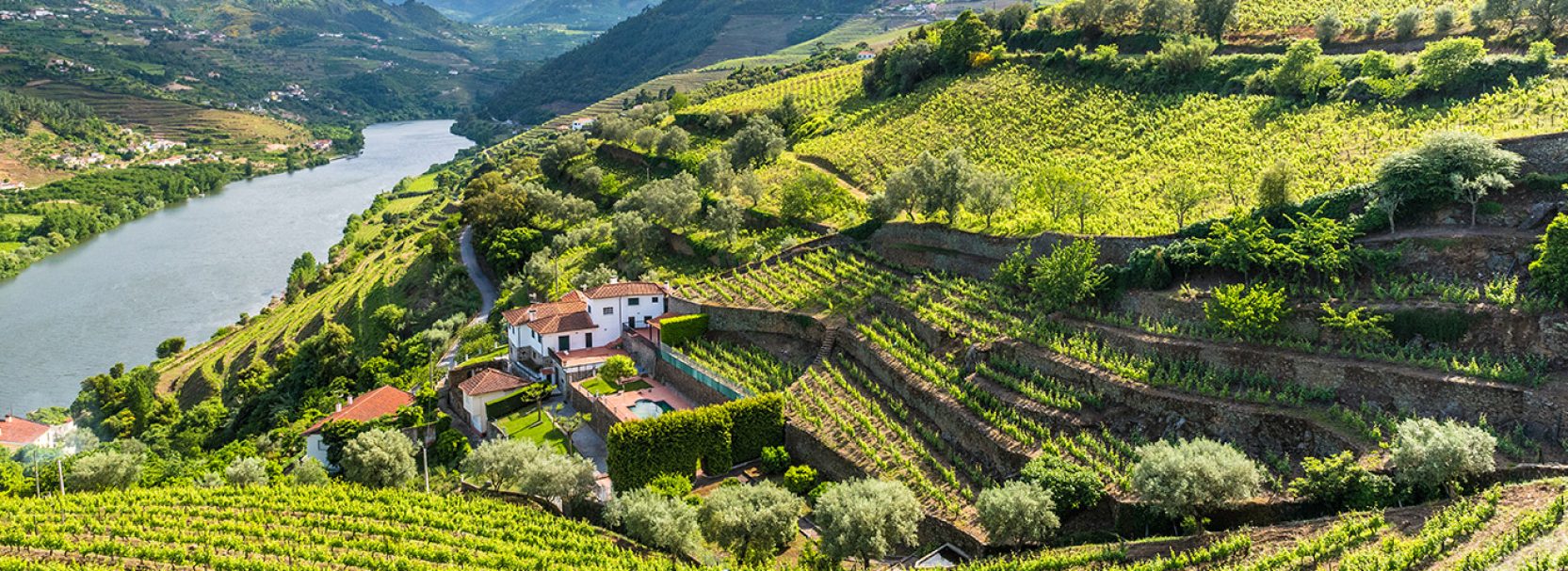 PORTUGAL IN DEPTH 13