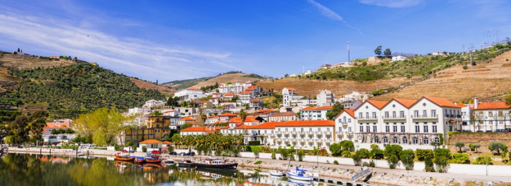 PORTUGAL IN DEPTH 14