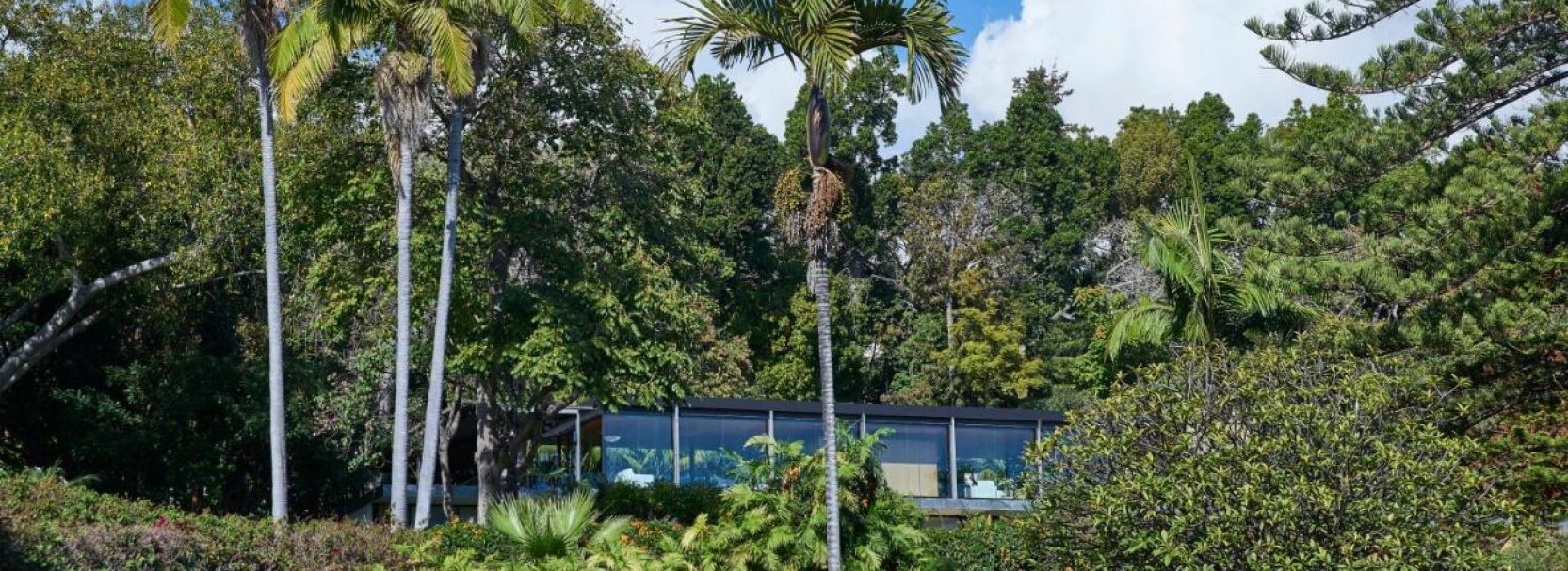 QUINTA DA CASA BRANCA 8